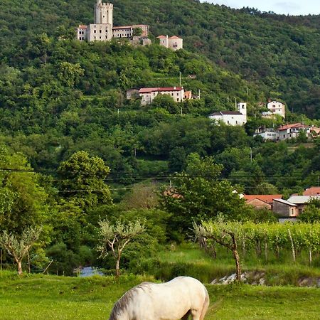 Guesthouse Osterija Branik エクステリア 写真